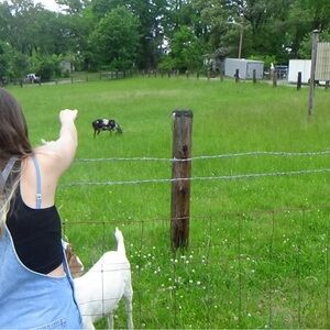 Meet your Posher, Jackie